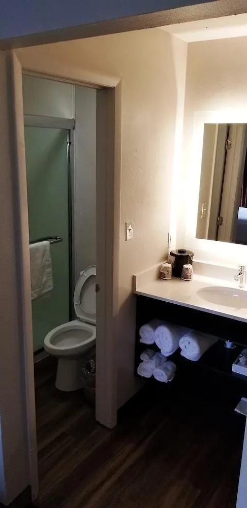 Hotel South Tampa & Suites USA
