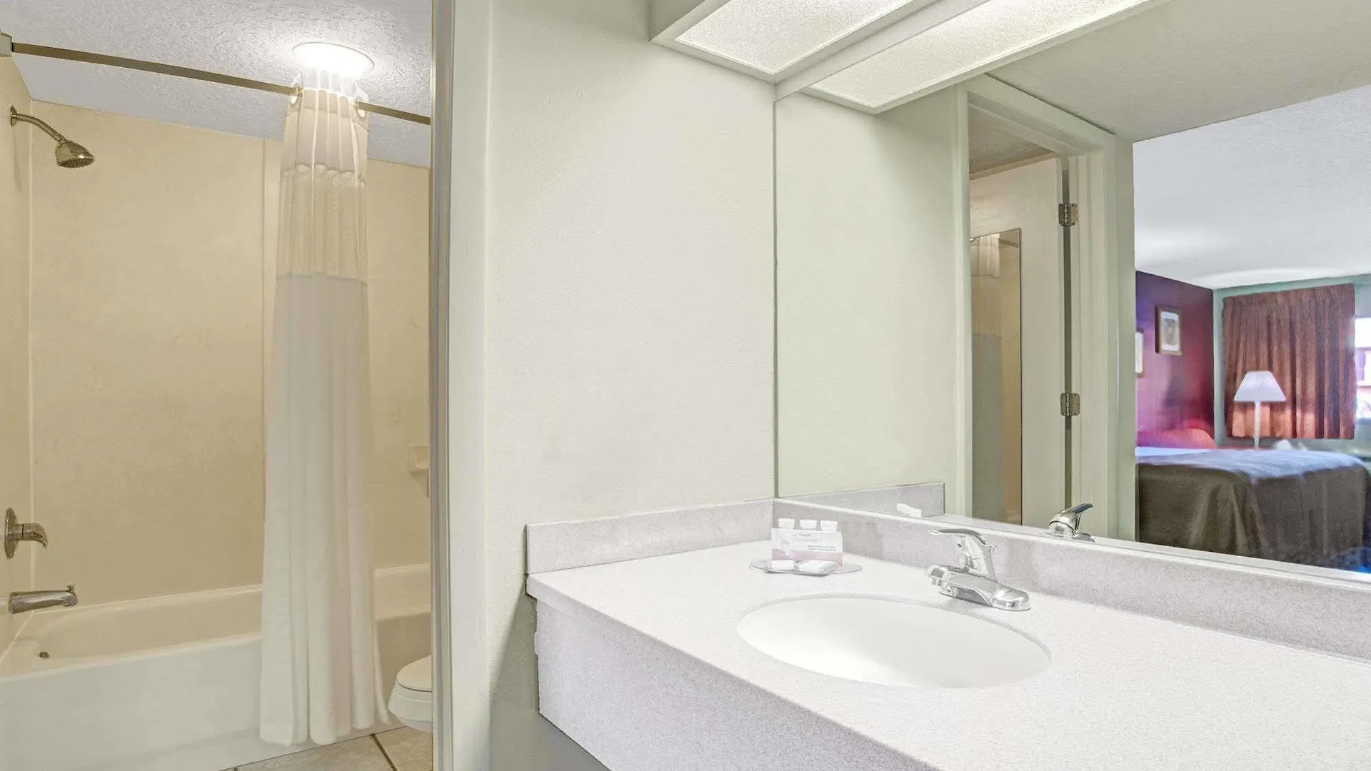 Hotel South Tampa & Suites